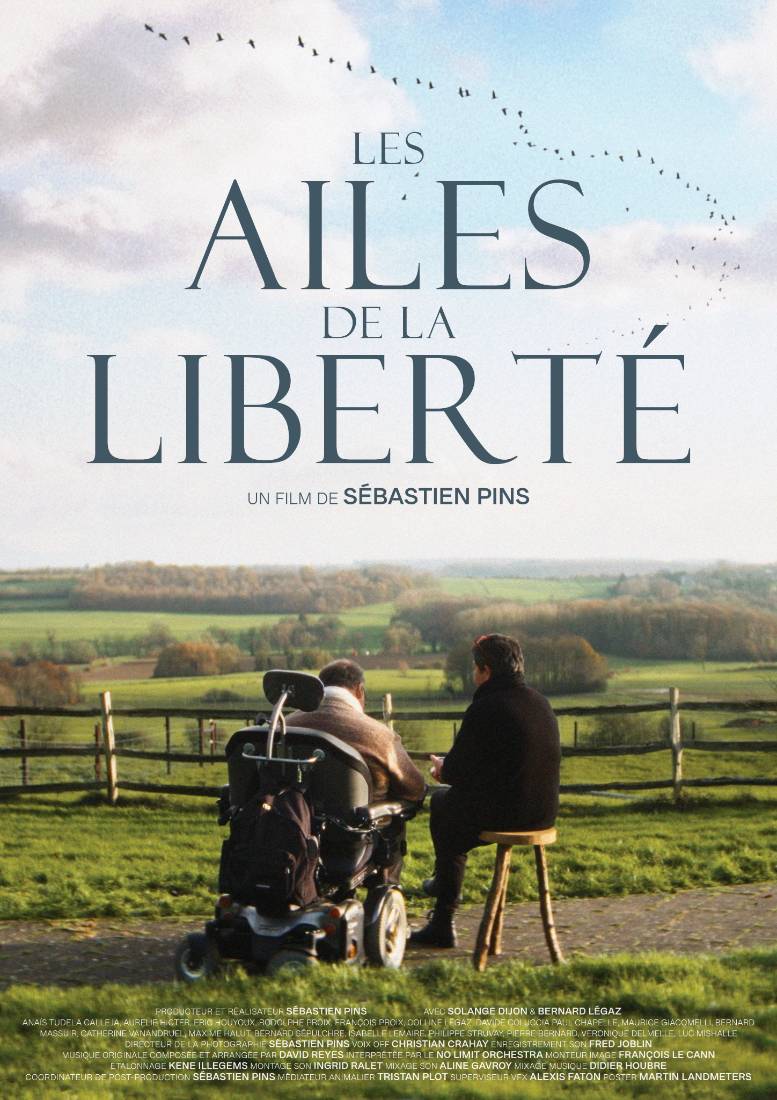 Affiche du film : Les Ailes de la Liberté