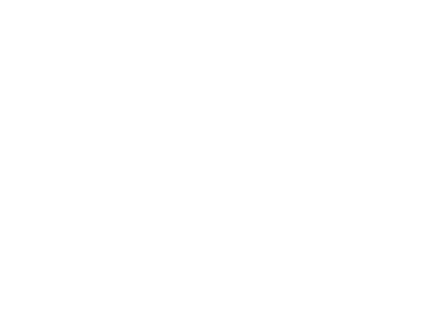 L'Artzinc